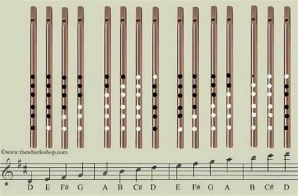 Флейта Тин вистл. Флейта вистл аппликатура. Аппликатура для флейты пимак. Аппликатура свирели 6 отверстий. Как играть на дудке