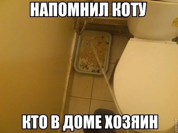 Напомнить плотно