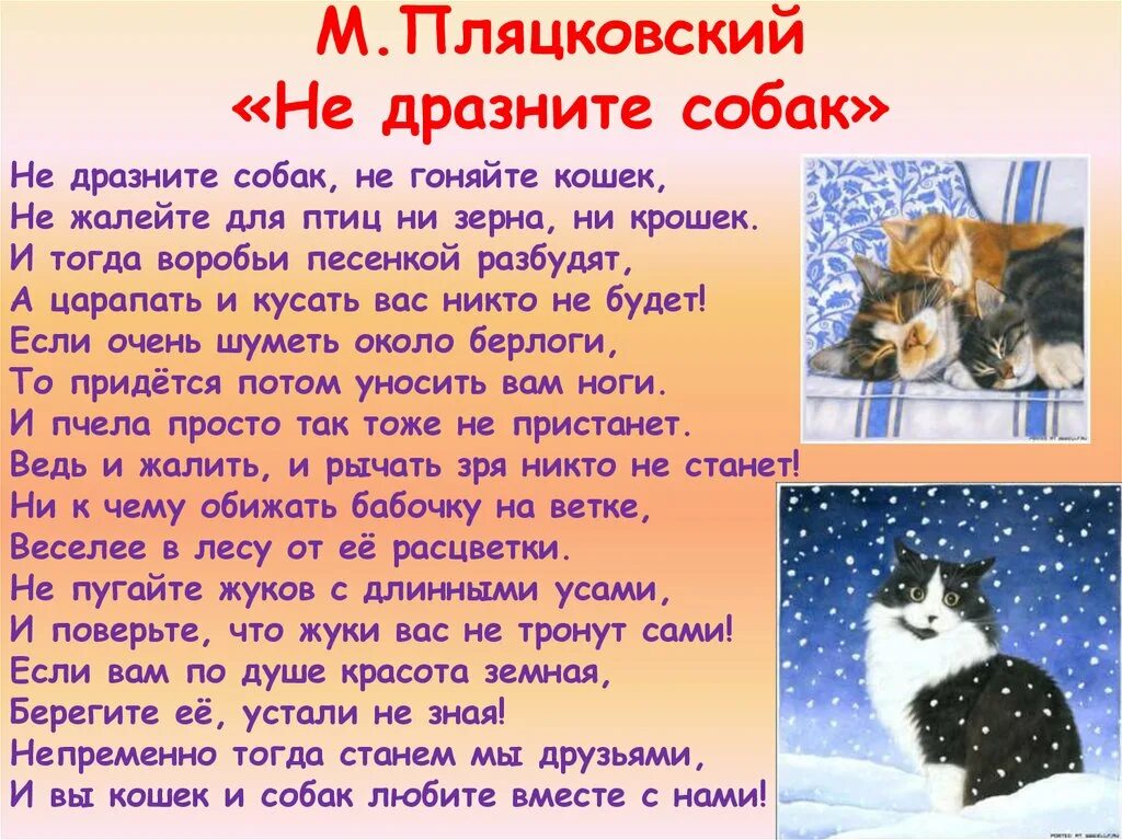 Песня не дразните собак не гоняйте. Слова не дразните собак не гоняйте кошек. Презентация кошки для дошкольников. День кошек 1 класс. Не дразните собак.