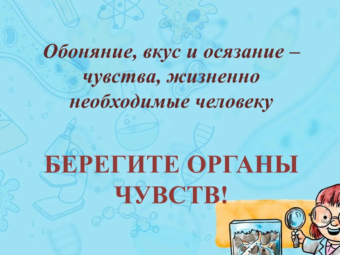 Обоняние вкус презентация. Спасибо за внимание органы чувств. Обоняние и вкус. Органы осязания обоняния вкуса. Органы осязания обоняния и вкуса презентация 8 класс.