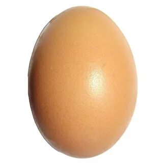 Egg москва