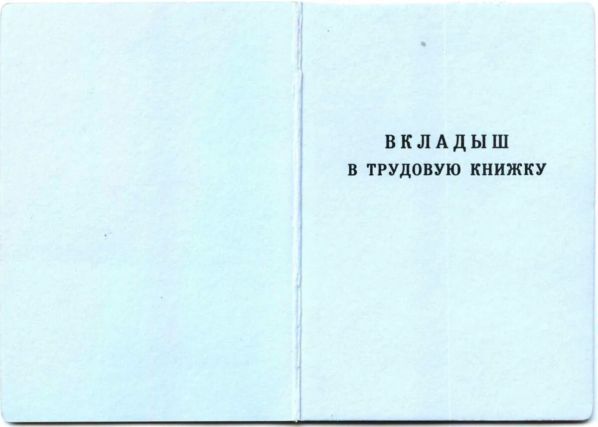 Как вшить вкладыш в трудовую. Бланк-вкладыш Трудовая книжка. Вкладыш в трудовой книжки в формате Word. Пример заполнения вкладыша в трудовую книжку. Вкладыш в трудовую книжку 2021.