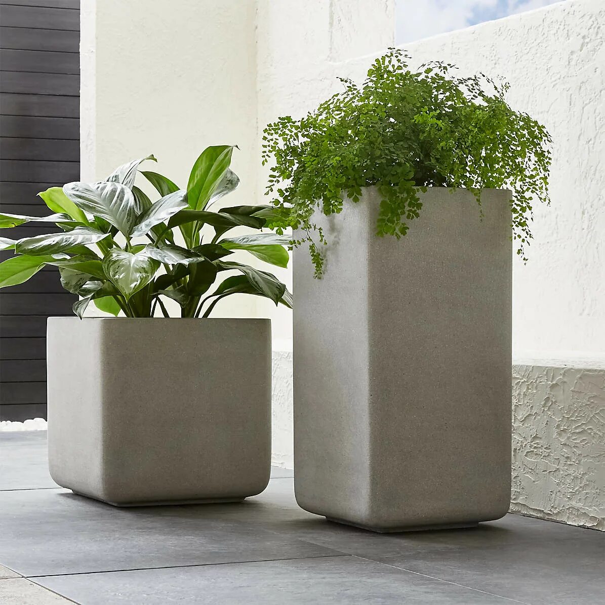 Crate&Barrel кашпо. Лечуза Канто Стоун. Crate &Barrel горшки. Вазон Max Planter-1121. Бетонные кашпо для цветов