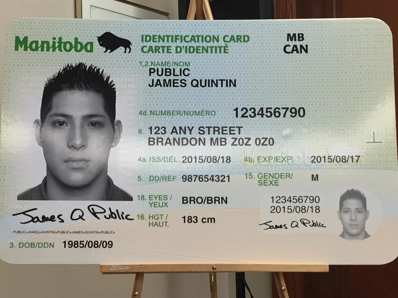 Ids license. Identification Card. Ирак ID Card. ID Card фото. ID Card Канада.