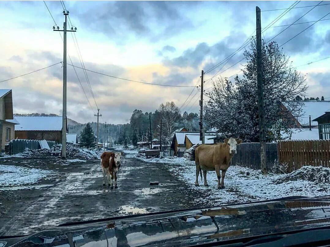 Читающее село. Хозяйство в деревне. Своё хозяйство в деревне. Ава деревня. Личное подсобное хозяйство в деревне.