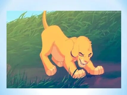 Animation lion king