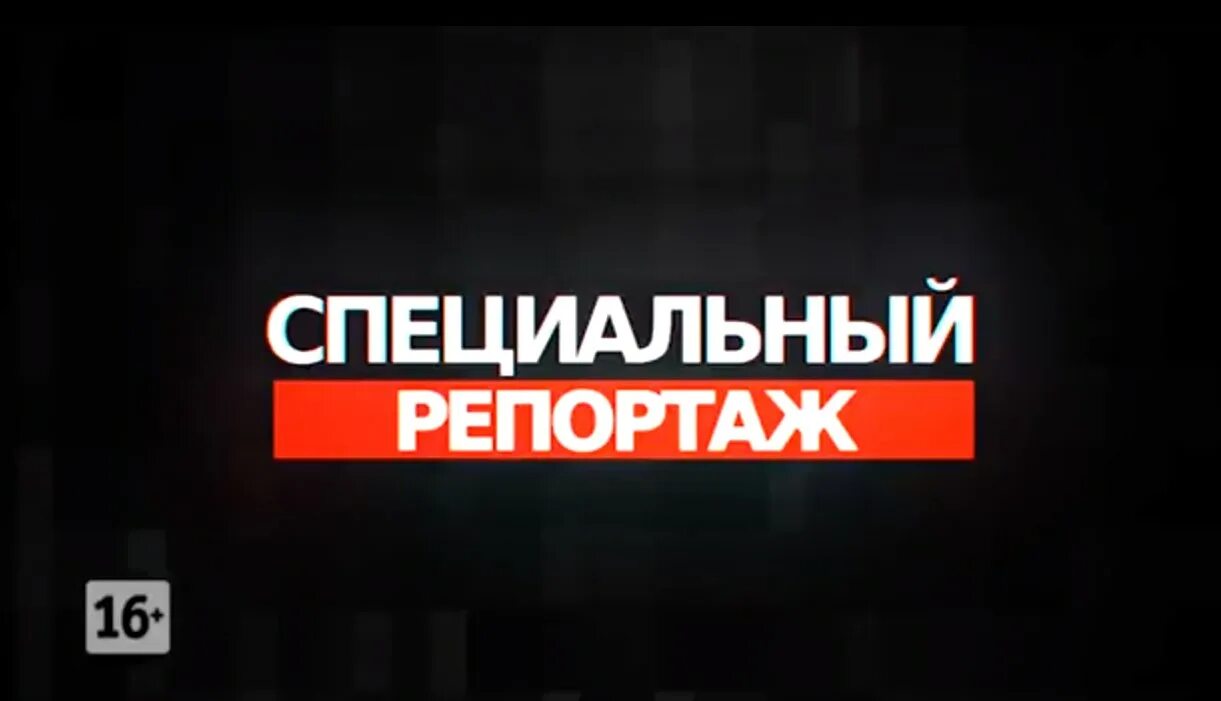 Специальный репортаж заставка. Телеканал звезда операторы. Телеканал звезда репортажи. Тв звезда специальный репортаж. Телеканал звезда репортажи.