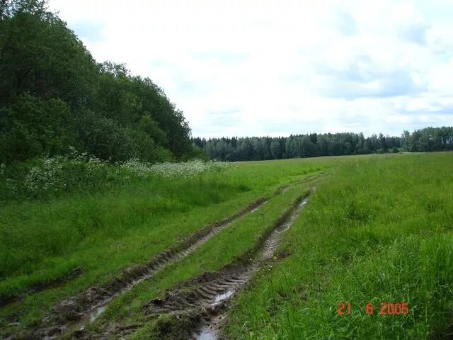 79 га. Сва нестюково. Новосельцы (козинское сельское поселение). Площадь калининградской области в гектарах. Участки под кфх.