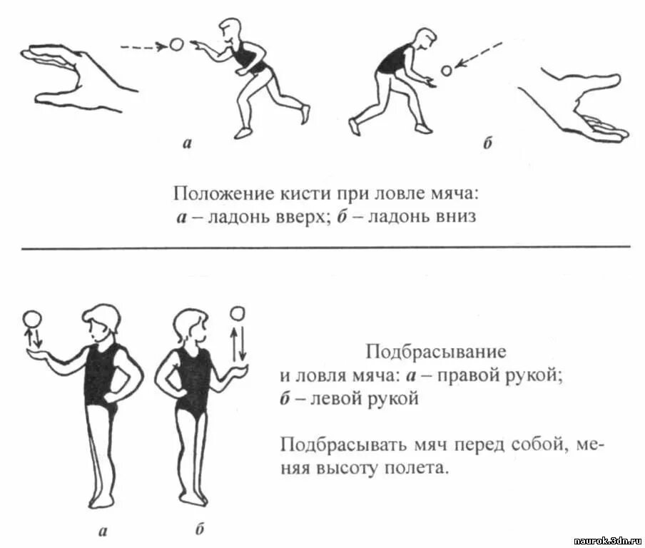 Бросание и ловля. Упражнения с ловлей мячей. Подбрасывание и ловля мяча. Броски и ловля мяча упражнения. Схема подбрасывание и ловля мяча.