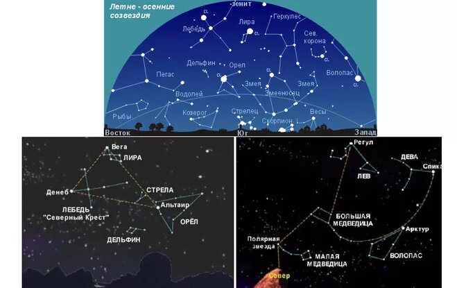 Созвездия летнего неба Северного полушария. Большая Медведица Полярная звезда Северного полушария. Созвездия Северного полушария малая Медведица. Созвездия Северного полушария рядом с большой медведицей. Летом северное полушарие получает