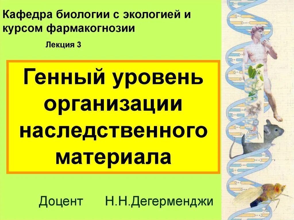 Организация наследственного материала. Геномный уровень организации генетического материала. Генный уровень организации наследственного материала. Хромосомный и Геномный уровни организации генетического материала. Уровни организации наследственного материала.