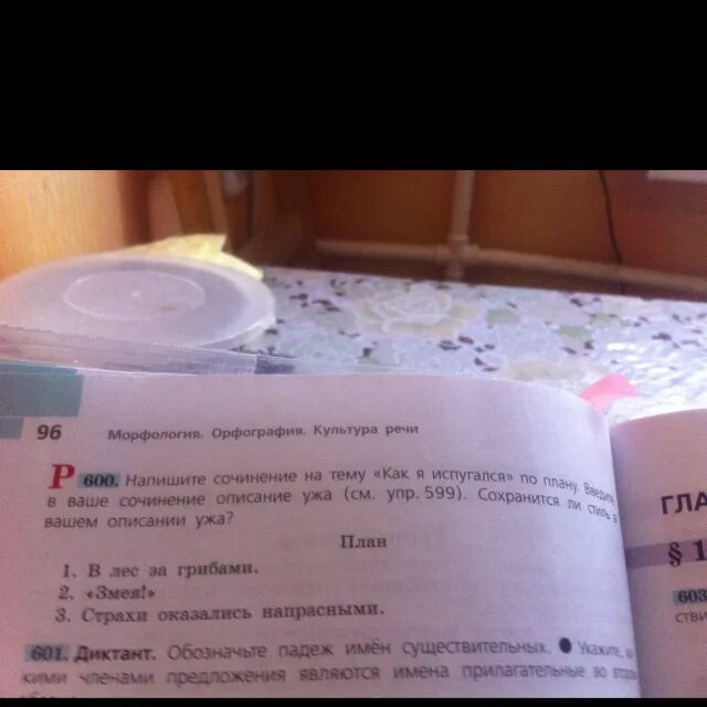 Сочинение змея 5 класс. Сочинение на тему как я испугался. Сочинение на тему я испугался. Сочине как я испугался. Написать сочинение на тему как я испугался.