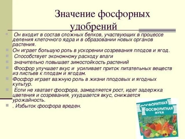 Чему способствуют фосфорные удобрения