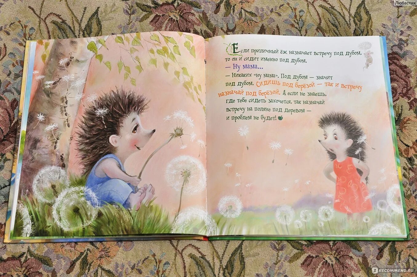 Читать про ежика. Небольшие сказки про ёжика. короткая сказка про ежика. маленькая сказка про ежика. короткая детская сказка про ежика.