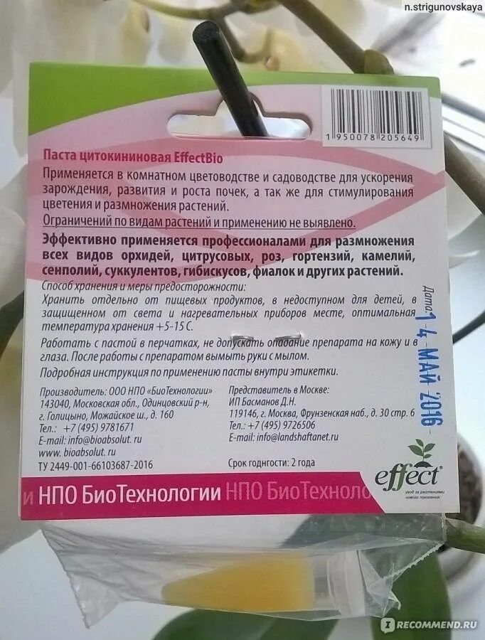 Цитокининовая мазь. Цитокининовая паста для орхидей. Цитокининовая паста эффект био. Цитокининовая паста для орхидей эффект. Паста цитокининовая EFFECTBIO 1,5мл.