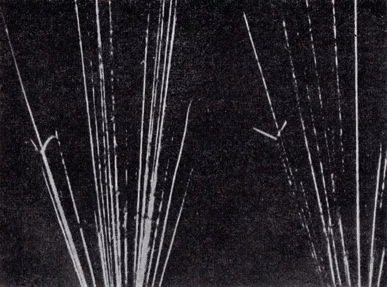 Трек движения частицы. Трек бета частицы в камере вильсона. Треки заряженных частиц. Камера вильсона треки. Треки заряженных частиц в магнитн.