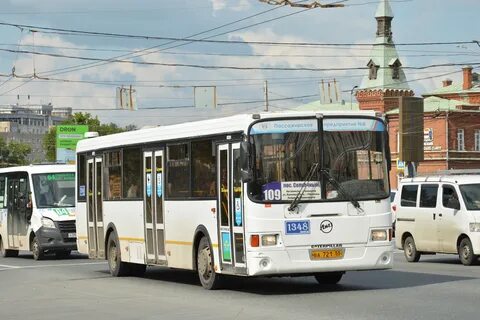 Автобус 514 ольховая плесково