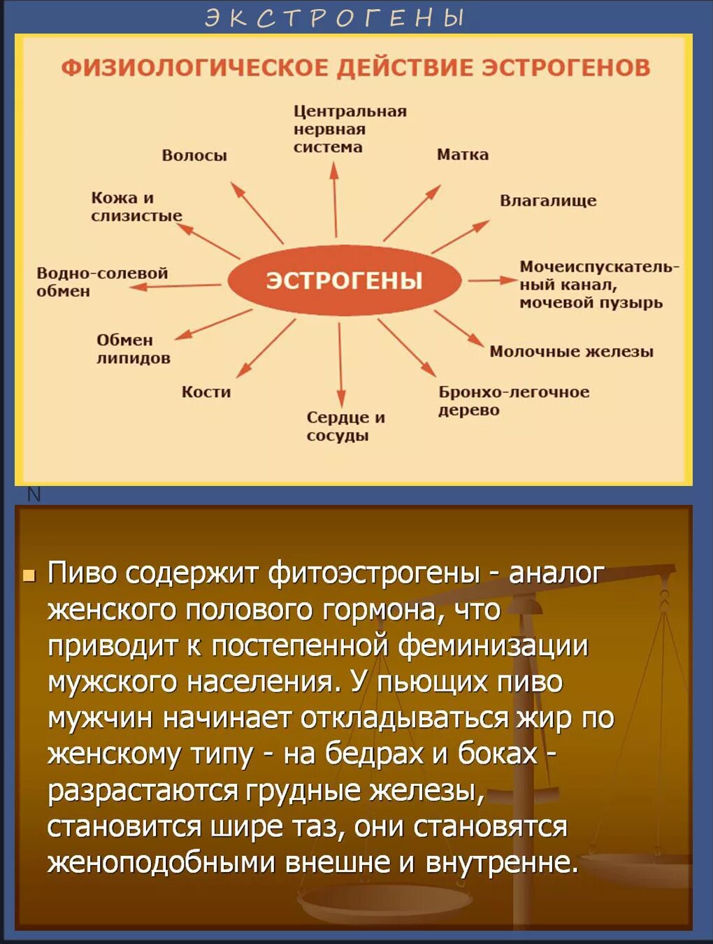 Эстроген для женщин после 50 лет. Продукты богатые фитоэстрогенами таблица для женщин. В каких продуктах содержится эстроген. Продукты содержащие гойтерогены. Эстрогены женские в продуктах.