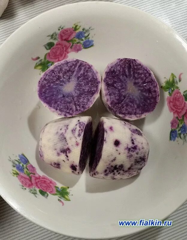 Картофель семенной Северное сияние (репродукция элита), 0,5 кг. Дачная Коллекция