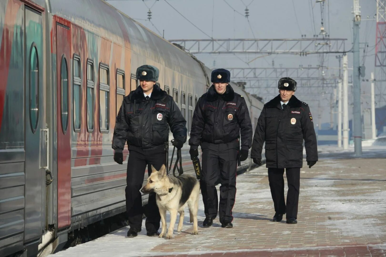 Транспортная полиция. Сотрудники транспортной полиции. Транспортная полиция на вокзале. С днем транспортной полиции. Мвд линейная полиция