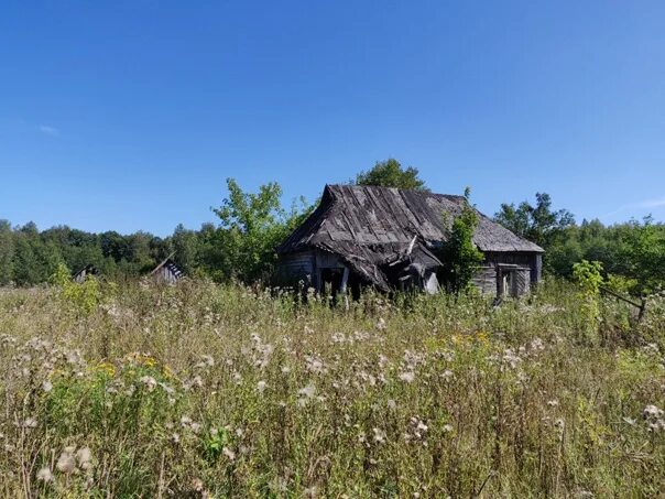 Деревни рязанской области