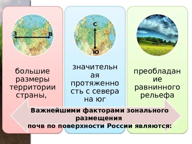 Презентация " Влияние воды на рост и развитие комнатного растения - абутилона". 
