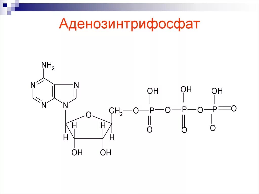 Структурная формула АТФ связи. АТФ формула структурная. АТФ аденозинтрифосфат формула. Структурная химическая формула АТФ.