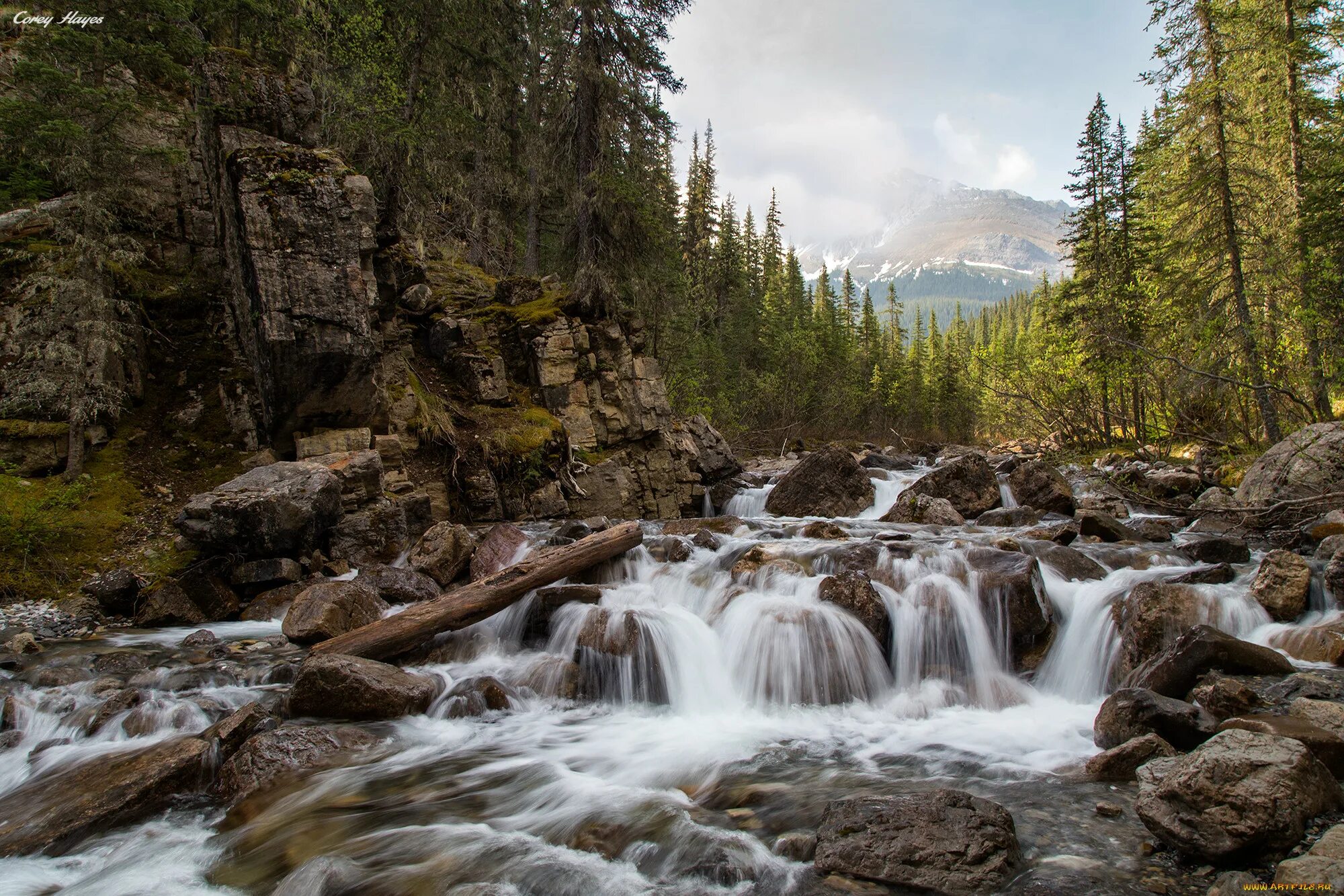 Горная река фотосток. Граубюнден Швейцария водопад. Горни реки. Горный ручей.