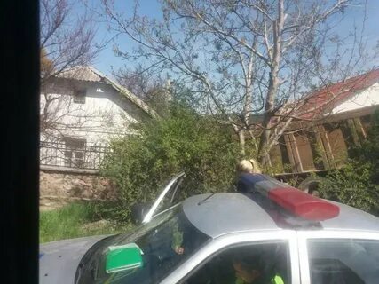 Залетаю во дворы