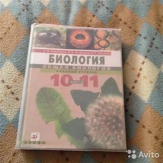 Лабораторная работа по биологии 10 класс ферменты