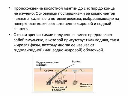 За что отвечает водно жировая