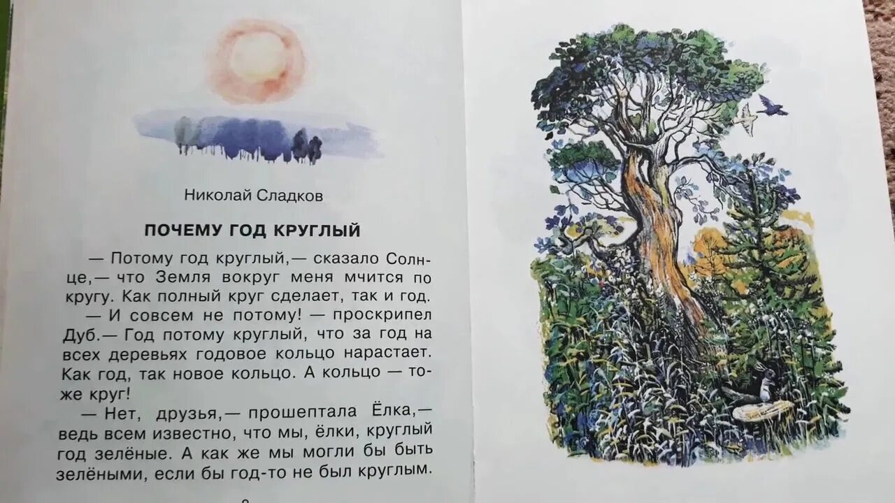 Круглый год круглый сирота. Н Сладков почему год круглый. Сладков круглый год. Рассказ круглый год. Почему год круглый.