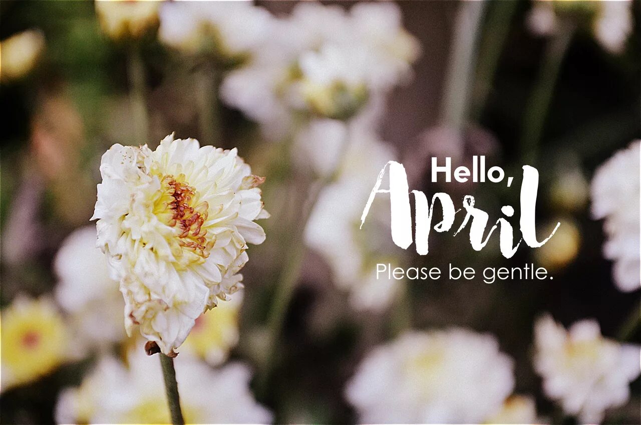 Привет апрель. Привет, hello April. Hello April картинки на рабочий стол. Привет апрель фото красивые. March please