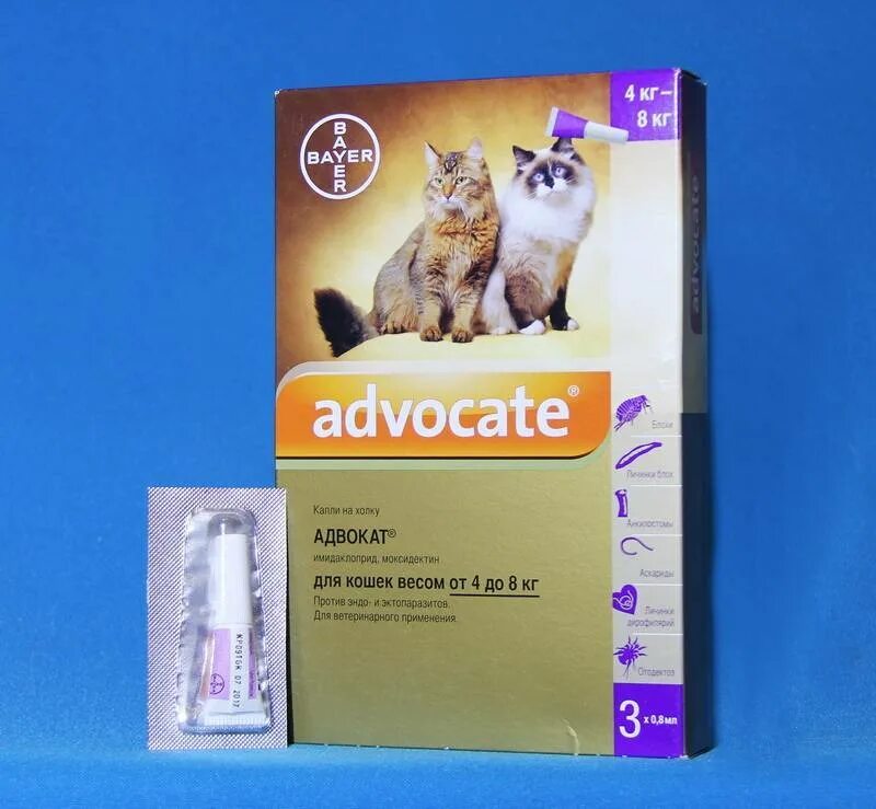 Адвокат капли для котят. Advocate Bayer для кошек. Адвокат: капли для кошек от паразитов. Капли на холку адвокат для кошек 4 - 8 кг 3 пипетки. Адвокат для кошек отзывы