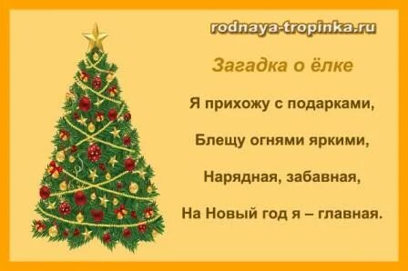 Стихи и песни о ели