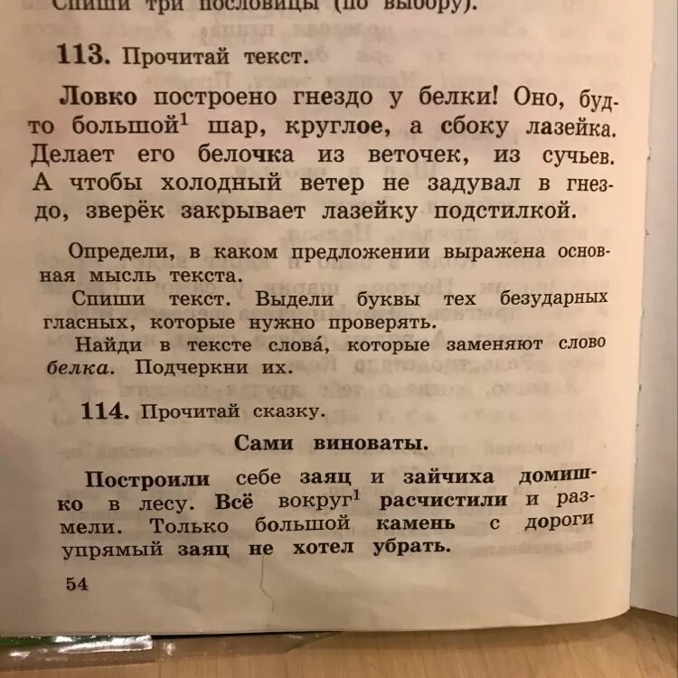 Спиши текст белки. Предложение со словом белка. Предложение со словом белки. Построила гнездо белка подчеркнуть в предложении. 3 Предложения со словом ловкий.