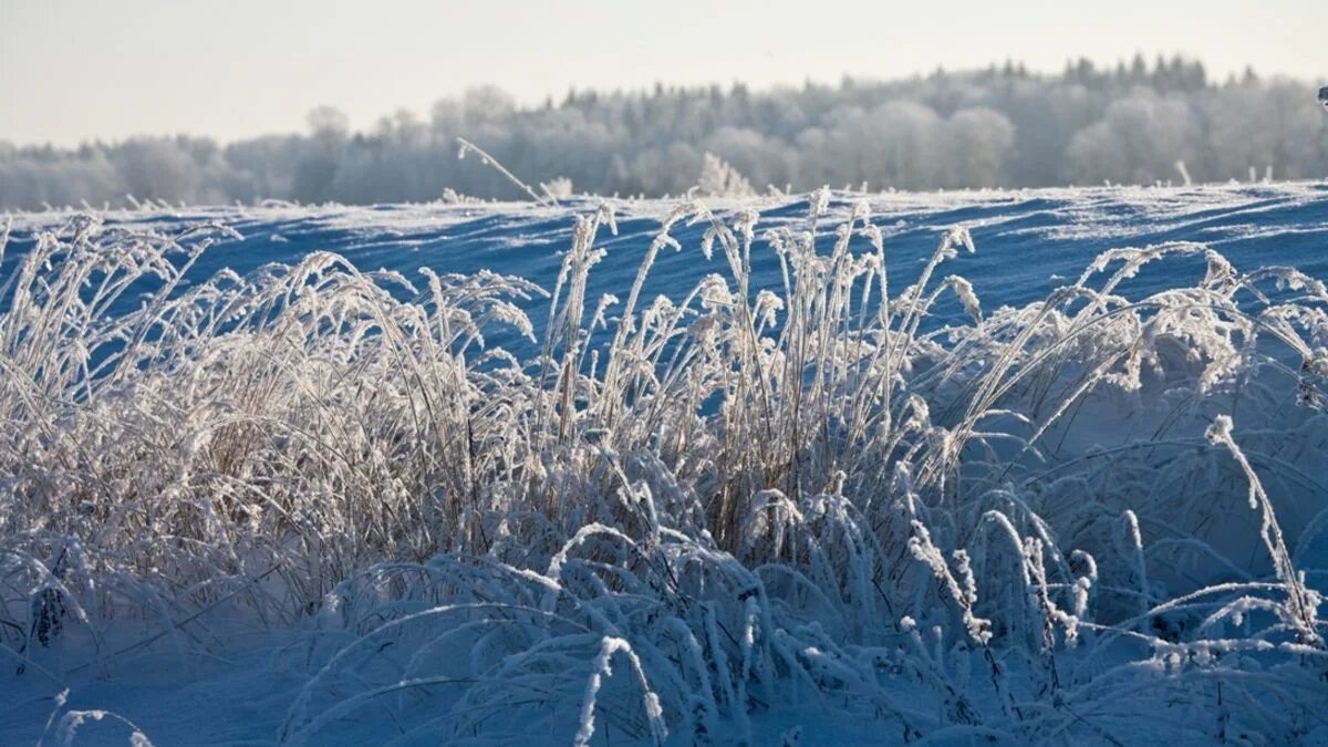 Поле зимой. Снег поле. Снежное поле. Заснеденноеполе. Поле с сугробами