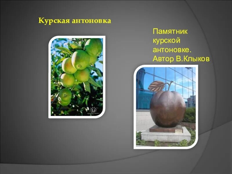 Памятник яблоку антоновке в курске. Статуя в курске антоновка. Памятник антоновскому яблоку курск. Курская антоновка памятник в курске. Статуя в курске антоновка.