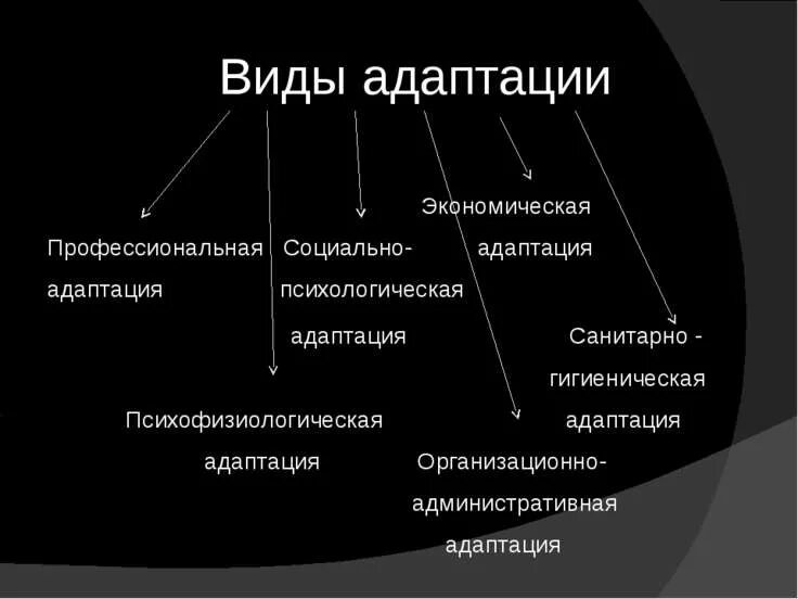 Адаптации современного человека. Виды адаптации. Основные виды адаптации. Укажите виды адаптации:. Виды адаптации человека.