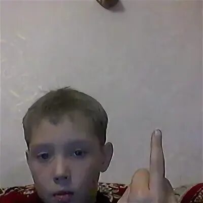 Сука 12