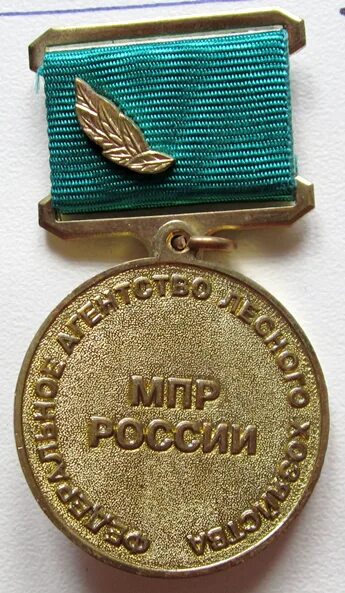 Заслуженный лесной. Награды лесникам. Заслуженный лесной. Заслуженный работник лесной промышленности. Заслуженный лесной.