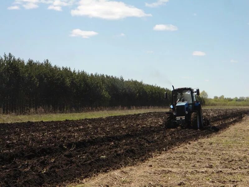 Учхоз чебоксары. Учхоз индекс. Учхоз александрово. Новый учхоз гатчинский район. Учхоз индекс.