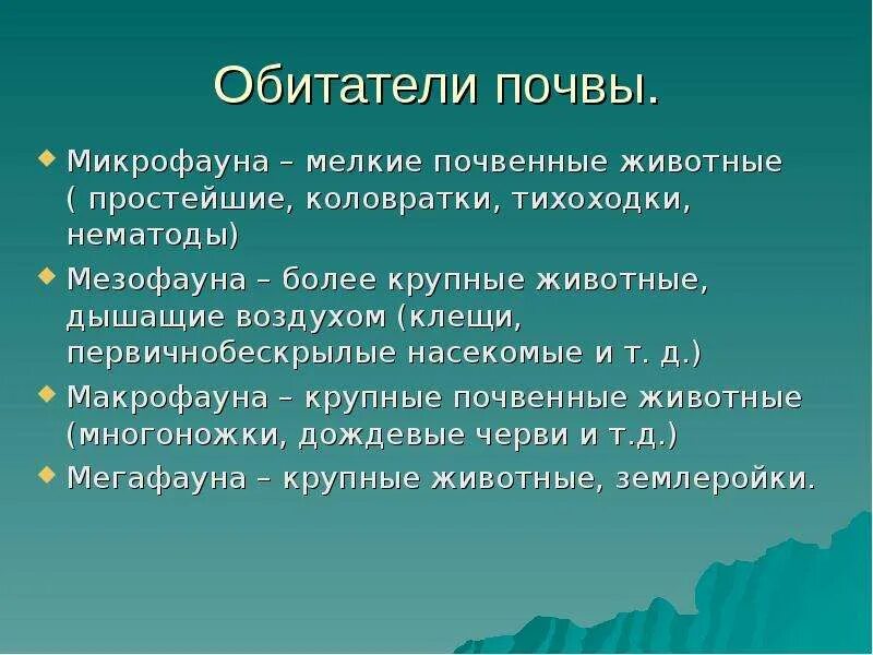 Обитатели почвы. Экологические группы почвенной среды. Классификация обитателей почв. Сообщение о обитателях почвы.