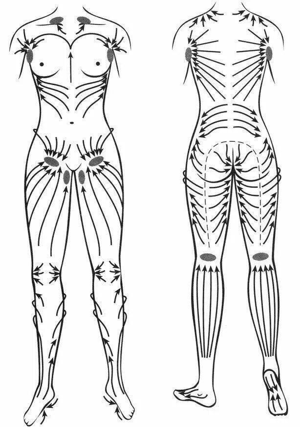 Схема лимфодренажного массажа сухой щеткой. Массажные линии тела схема лимфа. Массаж сухой щеткой схема антицеллюлитный. Лимфодренажный массаж тела сухой щеткой схема. Массажные линии для вакуумного