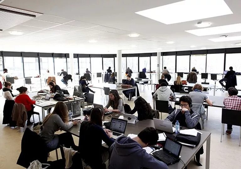 Center learn. Urganch data learning center. бизнес центр обучение. learning centres. essec business school выпускной.