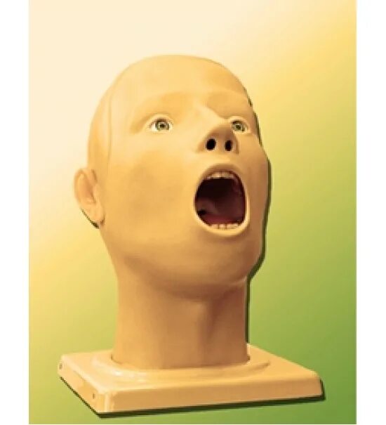 Манекен ребенка для медицинских. Голова манекена с открытым ртом. Фантом головы для стоматологии. С языком резиновая голова. Фантом головы.