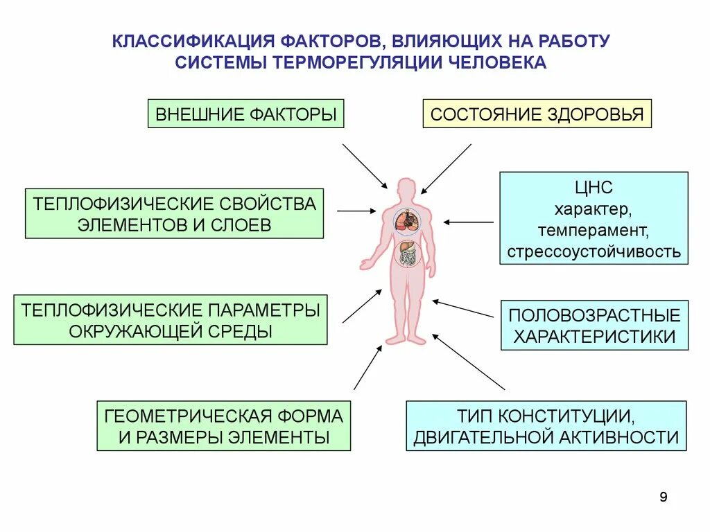 Иммунная температура. Система терморегуляции человека. Факторы влияющие на терморегуляцию организма человека. Факторы влияющие на терморегуляцию человека. Влияние метеорологических факторов на терморегуляцию организма..