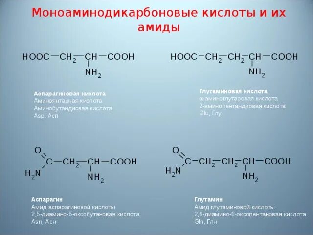 Аспарагиновая кислота 2-аминобутандиовая кислота. 2 Аминопентандиовая кислота формула. Моноаминодикарбоновые аминокислоты формулы. -Аминобутандиовая-1,4 кислота. Диметилгептановая кислота формула