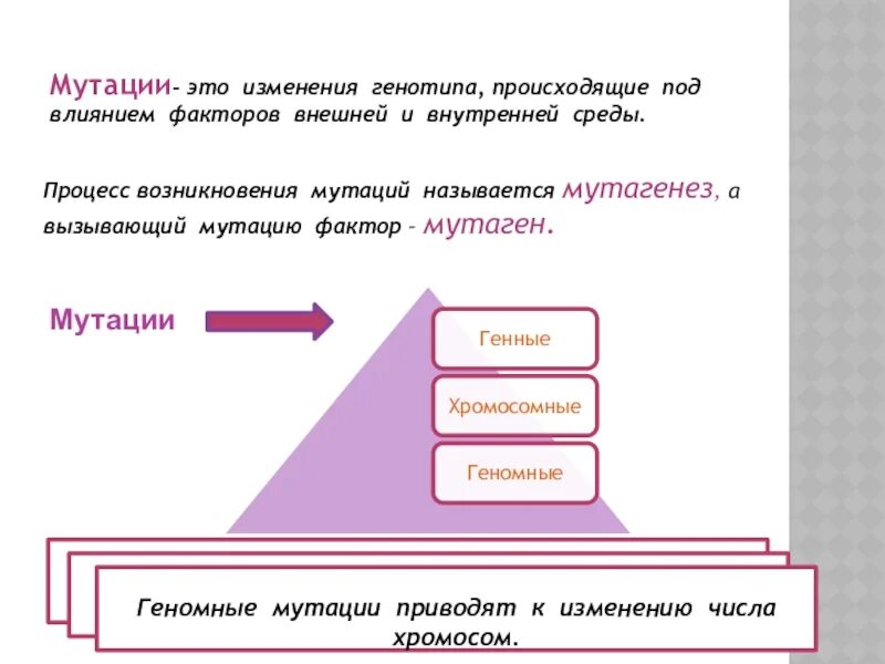 В результате изменения генотипа. Мутация это изменение генотипа. Мутации возникшие под влиянием внешних факторов называются. Факторы внешней среды вызывающие мутации. Факторы влияния мутации.