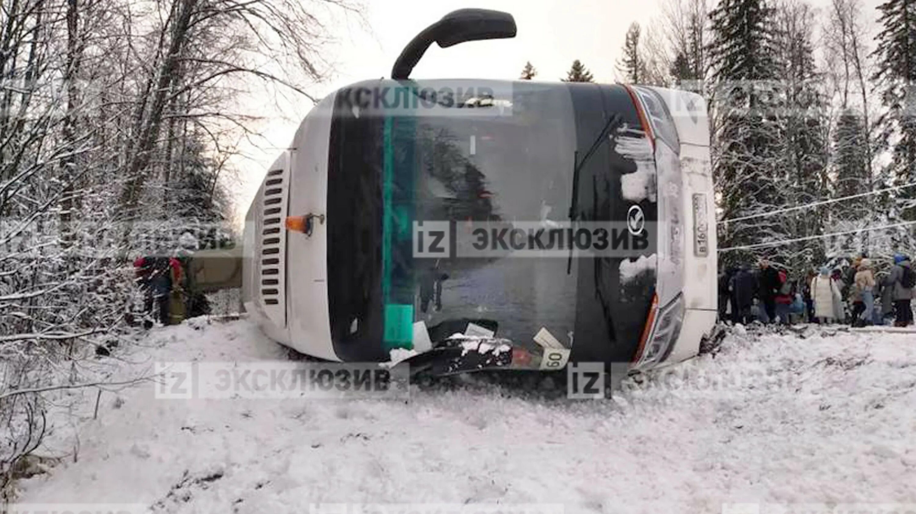 Автобусом в карелию из москвы